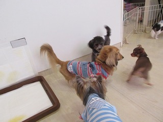 IMG_8826.jpg