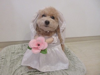 IMG_8839.jpg