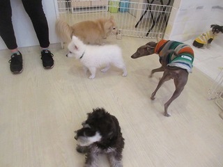 IMG_8840.jpg