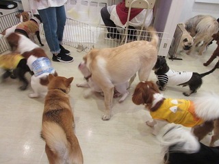 IMG_8849.jpg