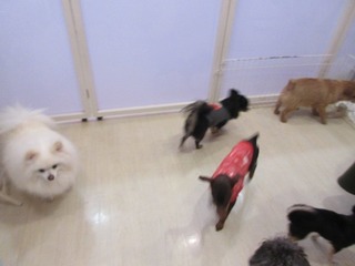 IMG_8850.jpg