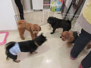IMG_8855.jpg