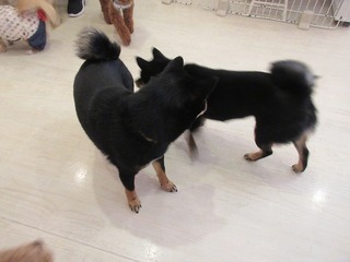 IMG_8856.jpg
