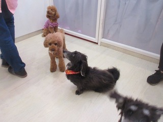 IMG_8863.jpg