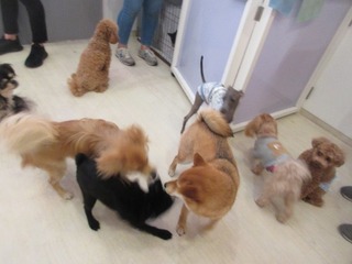 IMG_8871.jpg