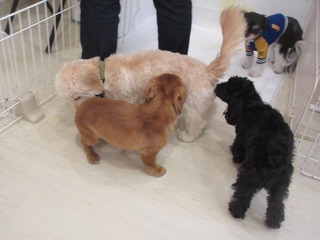IMG_8872.jpg