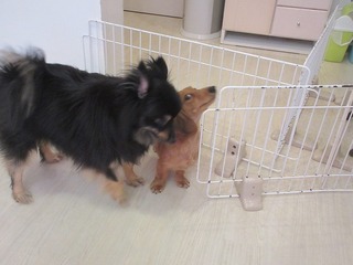 IMG_8878.jpg