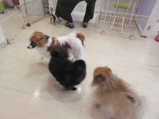 IMG_8878.jpg