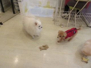 IMG_8884.jpg