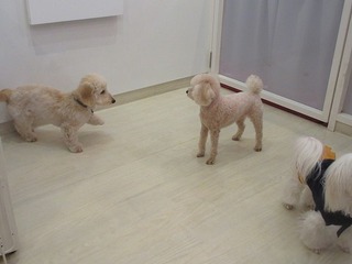 IMG_8903.jpg