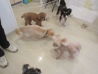 IMG_8906.jpg