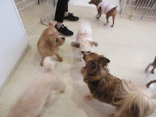 IMG_8911.jpg