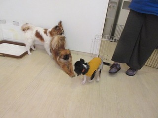 IMG_8942.jpg