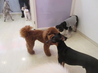 IMG_8944.jpg