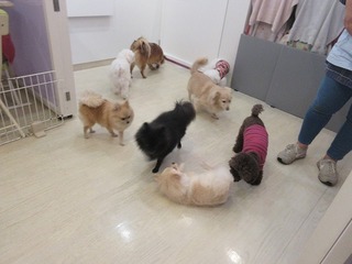 IMG_8960.jpg