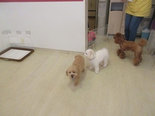 IMG_8965.jpg