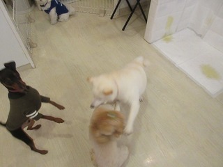 IMG_8972.jpg