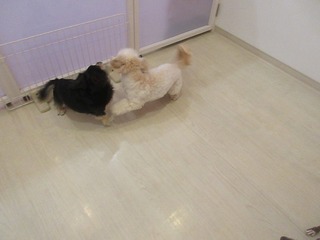 IMG_8996.jpg