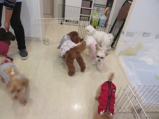 IMG_9022.jpg