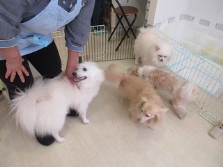 IMG_9058.jpg