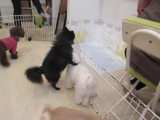 IMG_9097.jpg