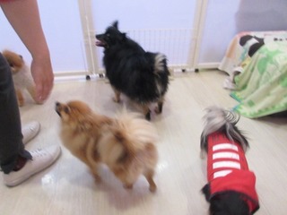 IMG_9100.jpg