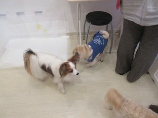 IMG_9100.jpg