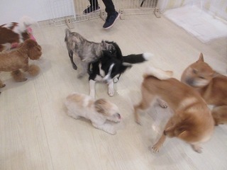 IMG_9119.jpg