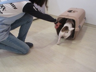 IMG_9125.jpg