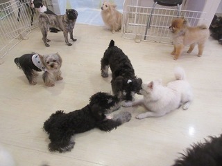 IMG_9160.jpg