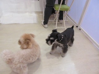 IMG_9165.jpg