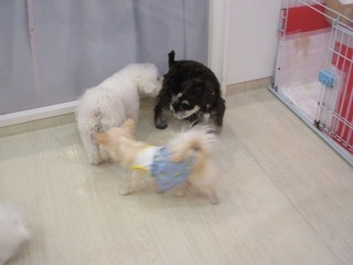IMG_9167.jpg