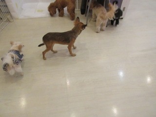IMG_9169.jpg