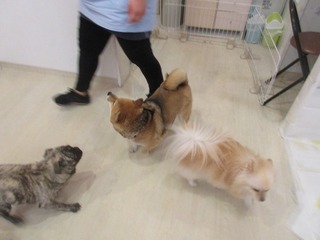 IMG_9174.jpg