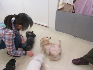 IMG_9176.jpg