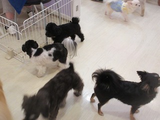 IMG_9183.jpg