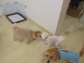 IMG_9290.jpg