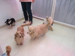 IMG_9315.jpg