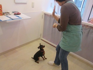 IMG_9357.jpg