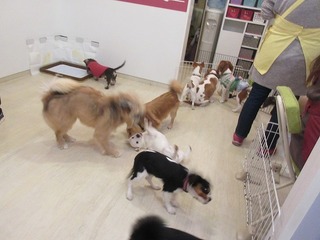 IMG_9398.jpg