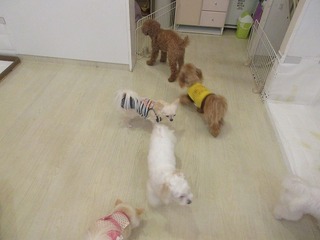 IMG_9410.jpg