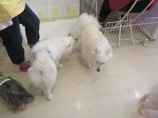 IMG_9413.jpg