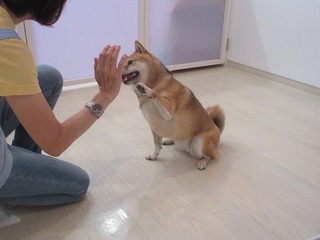 IMG_9413.jpg