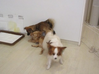 IMG_9420.jpg