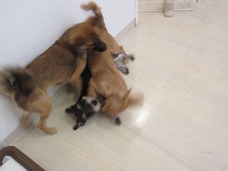 IMG_9451.jpg
