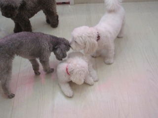 IMG_9489.jpg