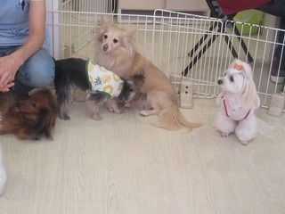 IMG_9495.jpg