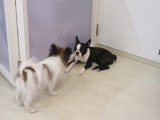 IMG_9522.jpg