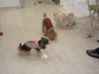 IMG_9553.jpg