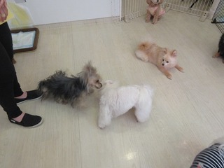 IMG_9570.jpg